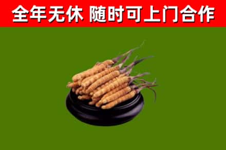 和平县烟酒回收冬虫夏草.jpg